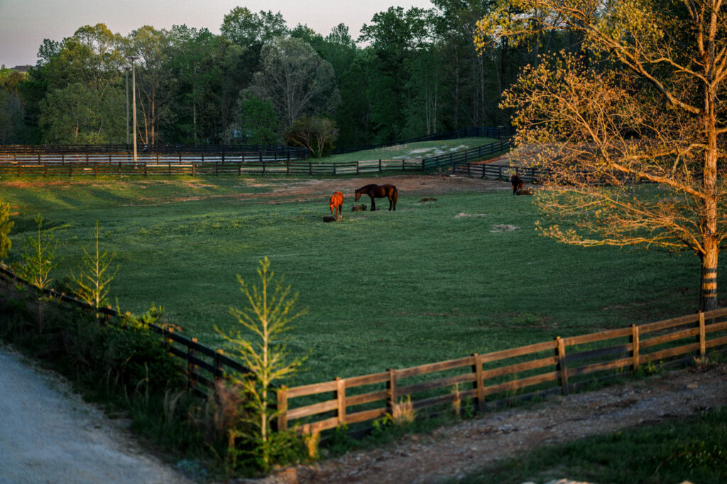 sunset at serenbe horse stable at golden hour