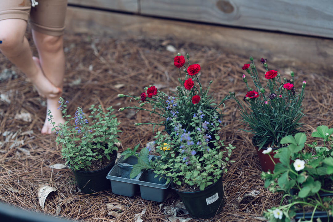 little feet standing in a garden next to a row of unplanted garden flowers